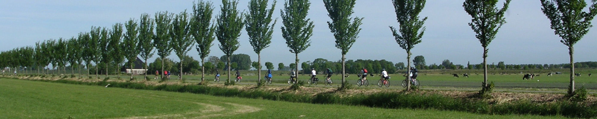netherlands cycling